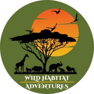 Wild Habitat - East Africa safari with Wild Habitat Adventures