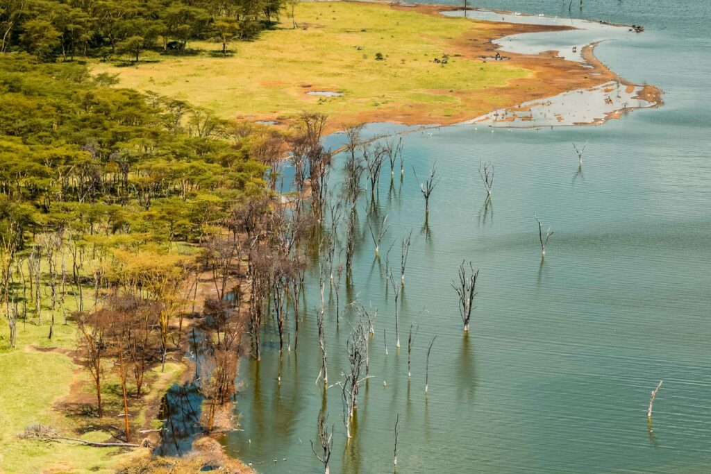 Aerial view over the Ngorongoro Crater floor, Tanzania