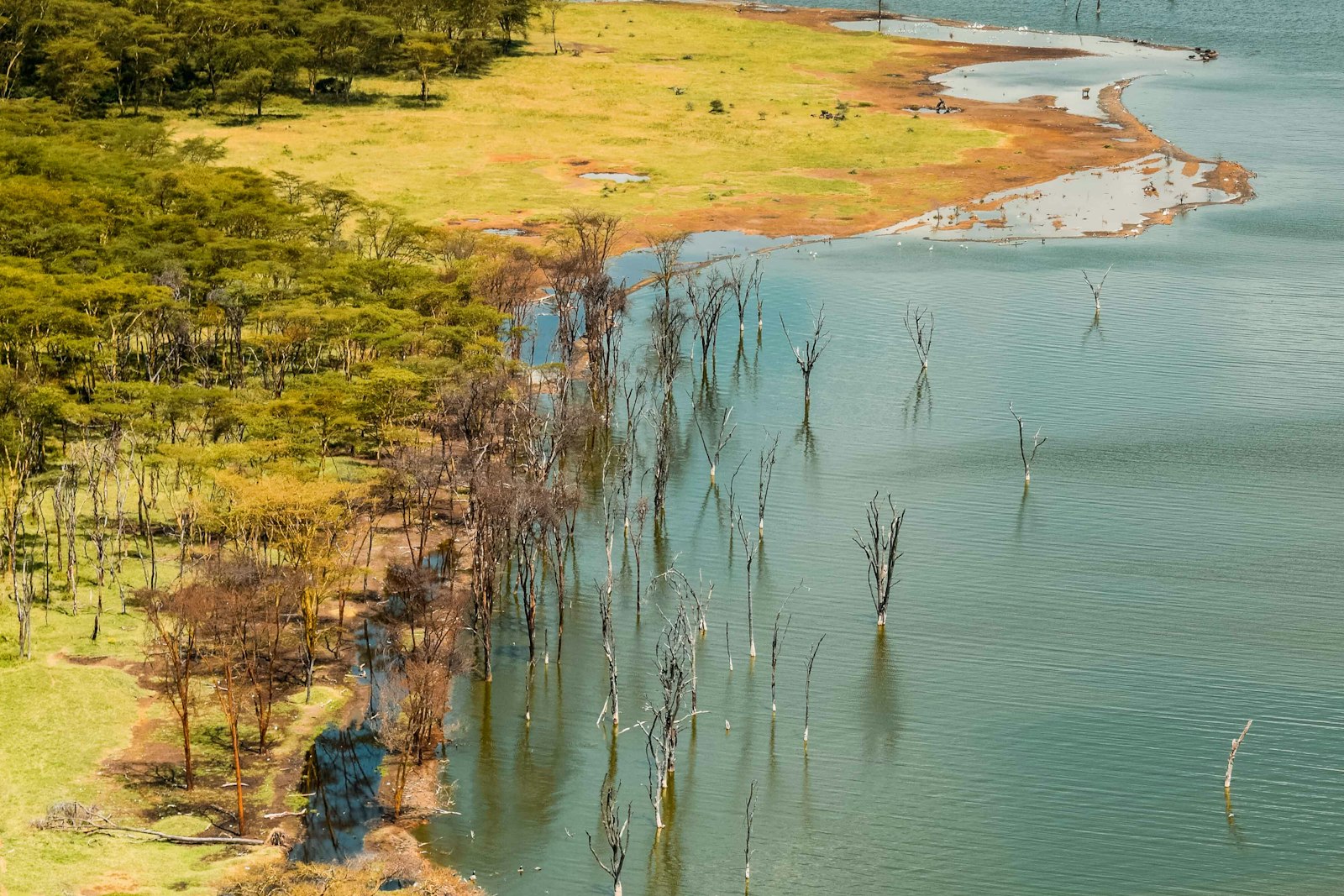 Aerial view over the Ngorongoro Crater floor, Tanzania