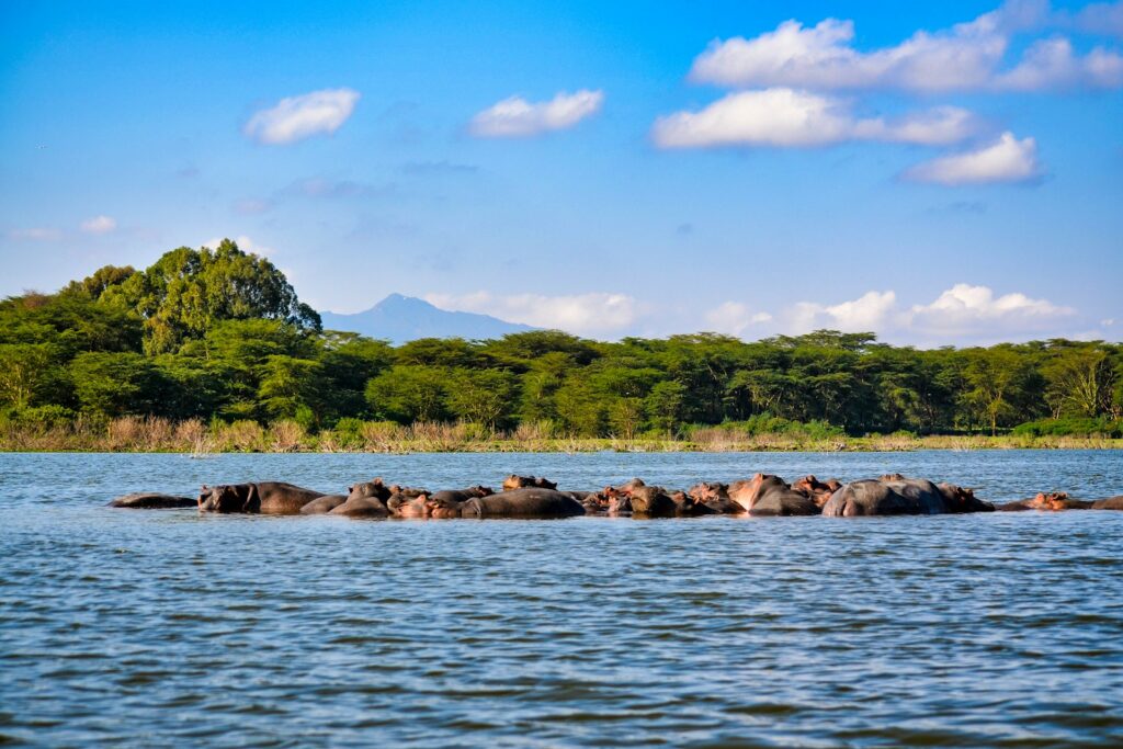 High mountain landscape on the Kilimanjaro routes, Tanzania