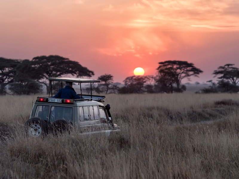 Kenya 1 - East Africa safari with Wild Habitat Adventures