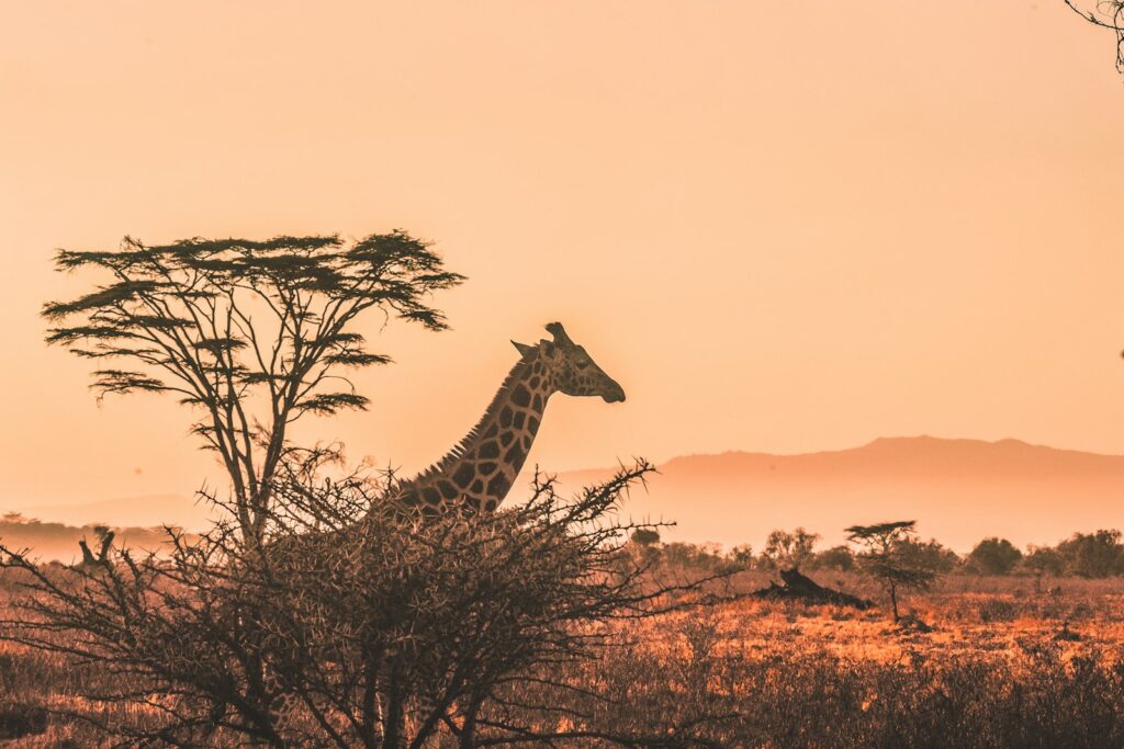 Rift Valley and Serengeti Explorer - escarpment viewpoint