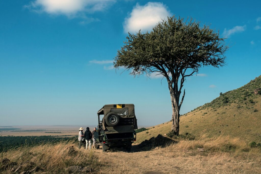 Safari vehicle parked beneath an acacia on the savannah