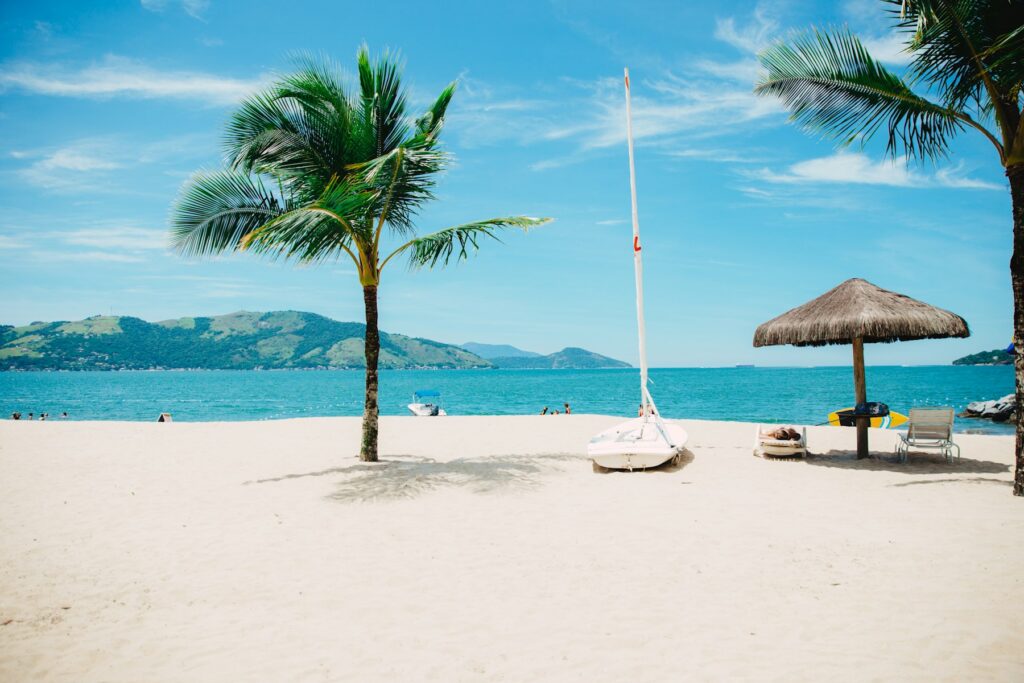 Palm-lined white sand beach on the Kenyan coast
