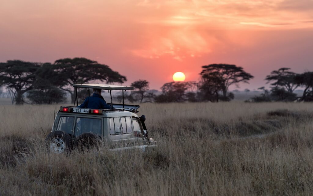 Elephant herd on a premium Kenya wilderness safari